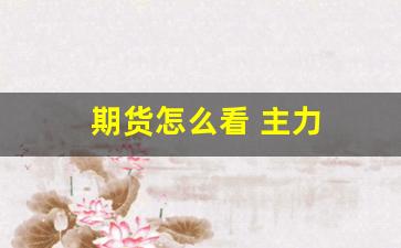 期货怎么看 主力(期货怎么看主力进出场如何设置)_https://www.qldgs.com_恒指期货_第1张
